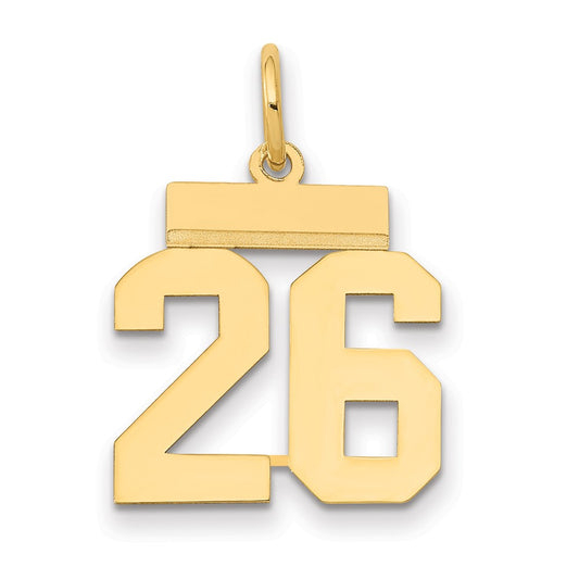 14k Yellow Gold Small Polished Number 26 Charm