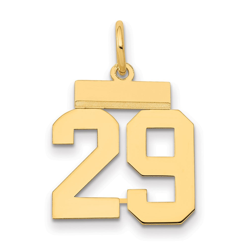 14k Yellow Gold Small Polished Number 29 Charm