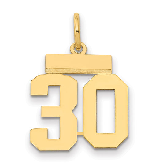 14k Yellow Gold Small Polished Number 30 Charm
