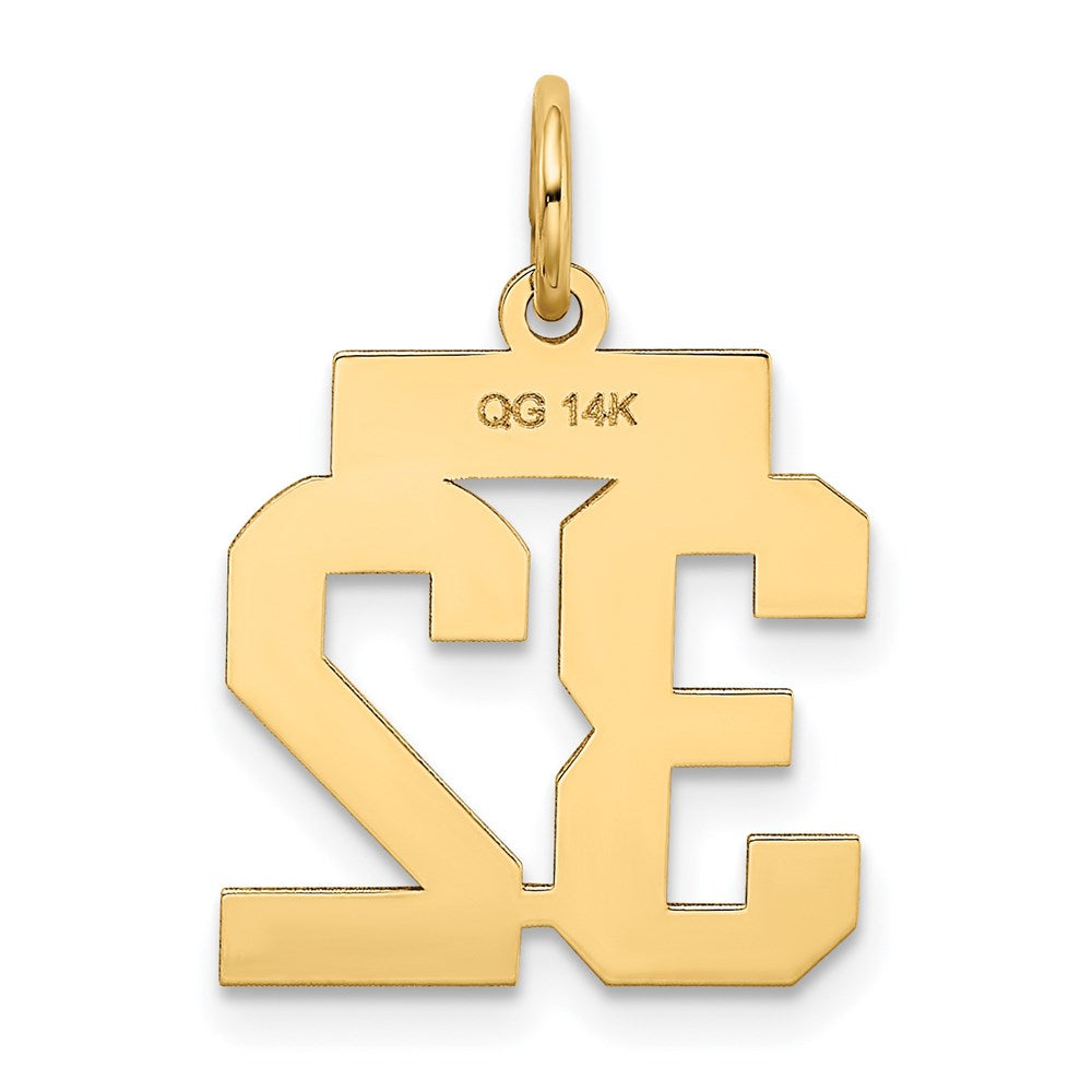 14k Yellow Gold Small Polished Number 32 Charm