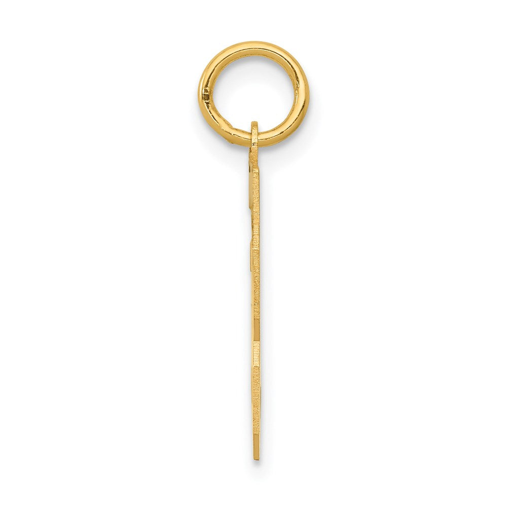 14k Yellow Gold Small Polished Number 33 Charm
