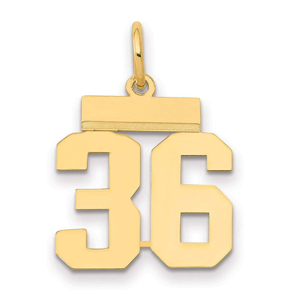 14k Yellow Gold Small Polished Number 36 Charm