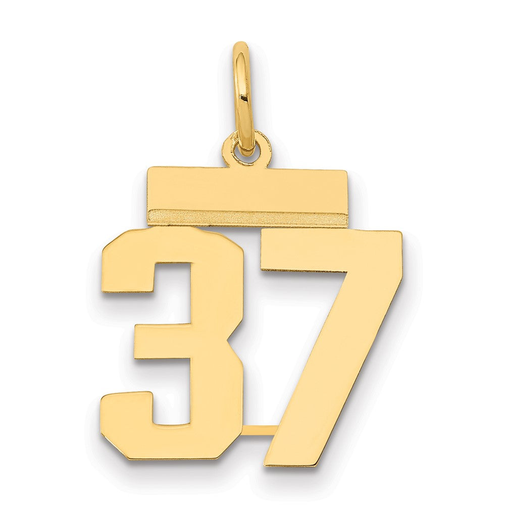 14k Yellow Gold Small Polished Number 37 Charm