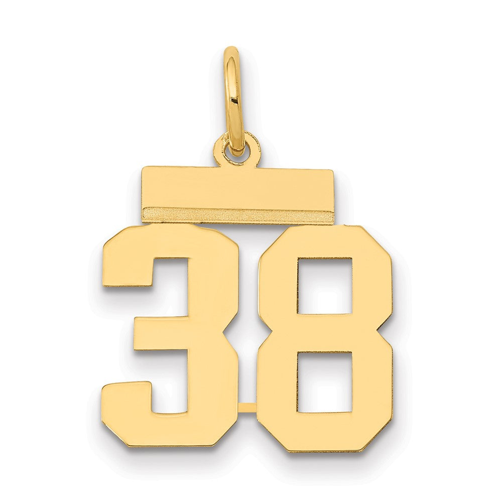 14k Yellow Gold Small Polished Number 38 Charm