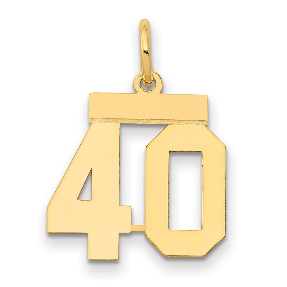 14k Yellow Gold Small Polished Number 40 Charm