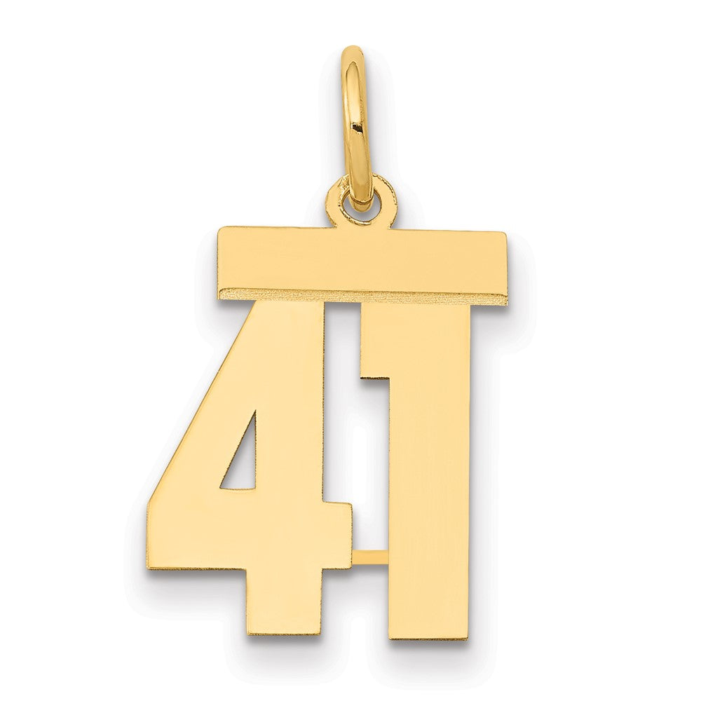 14k Yellow Gold Small Polished Number 41 Charm