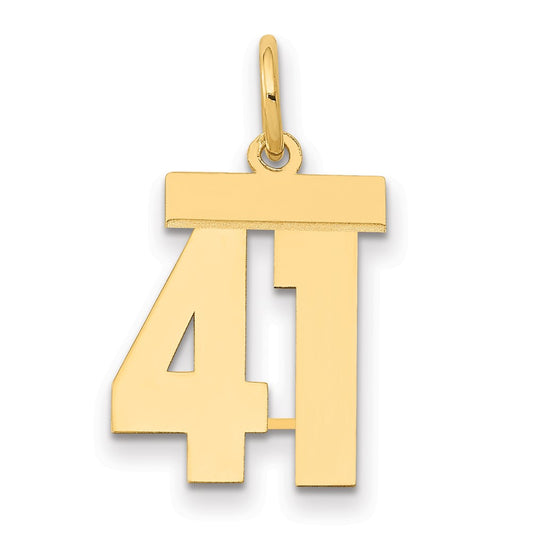 14k Yellow Gold Small Polished Number 41 Charm