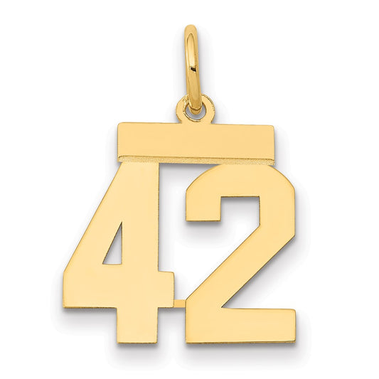 14k Yellow Gold Small Polished Number 42 Charm