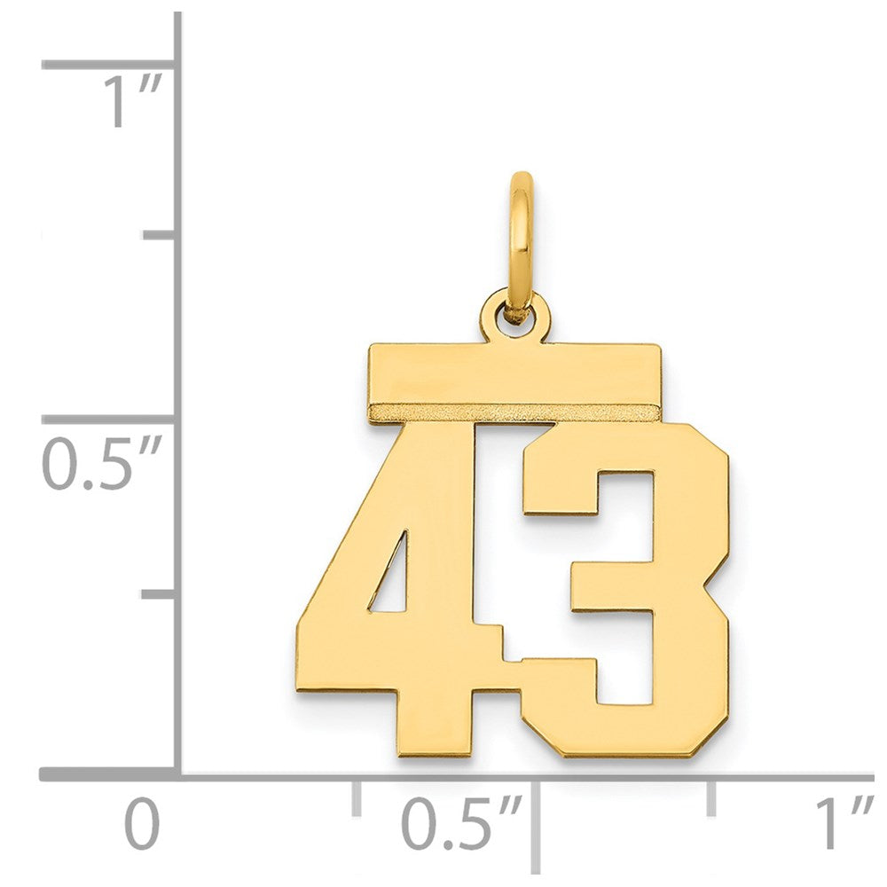 14k Yellow Gold Small Polished Number 43 Charm