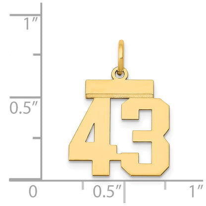 14k Yellow Gold Small Polished Number 43 Charm