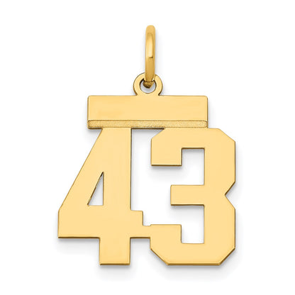 14k Yellow Gold Small Polished Number 43 Charm