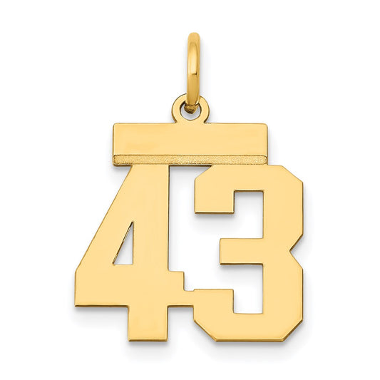 14k Yellow Gold Small Polished Number 43 Charm