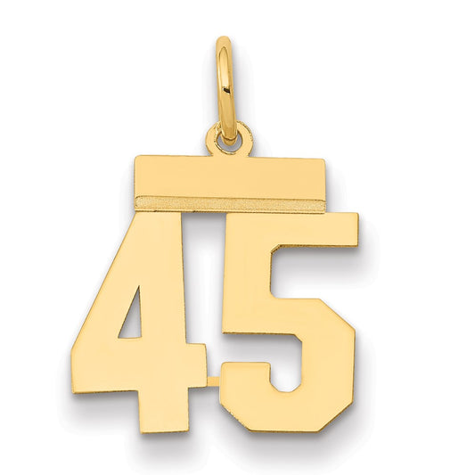 14k Yellow Gold Small Polished Number 45 Charm