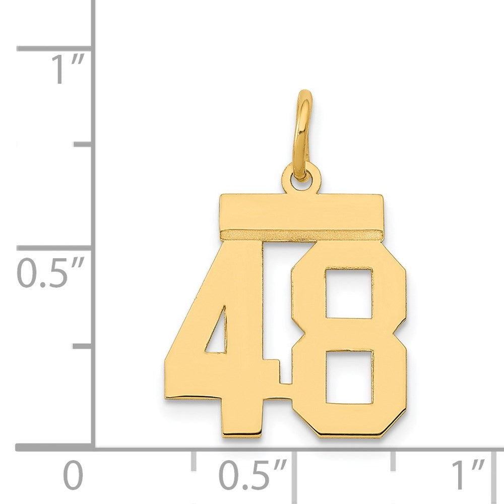 14k Yellow Gold Small Polished Number 48 Charm