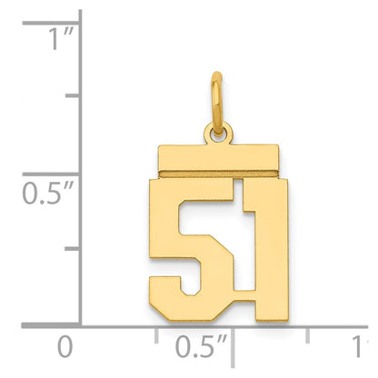 14k Yellow Gold Small Polished Number 51 Charm