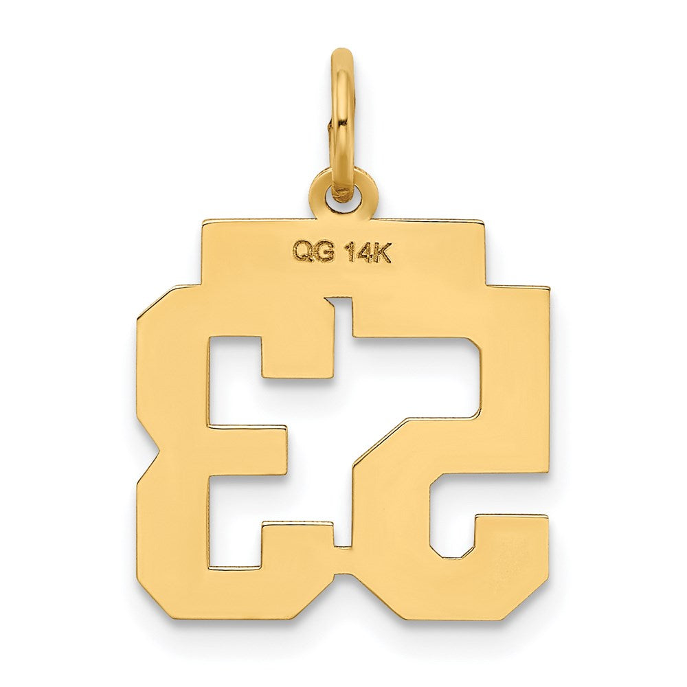 14k Yellow Gold Small Polished Number 53 Charm