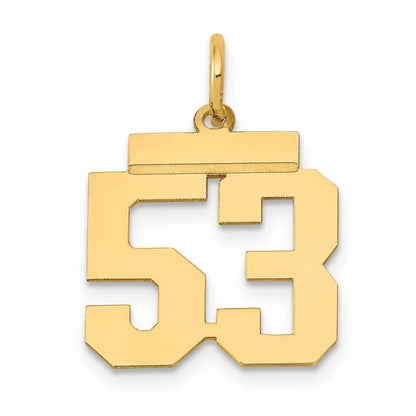 14k Yellow Gold Small Polished Number 53 Charm
