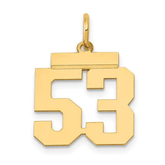 14k Yellow Gold Small Polished Number 53 Charm
