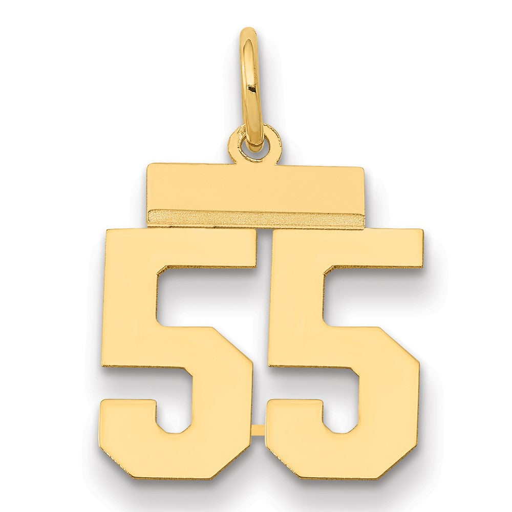14k Yellow Gold Small Polished Number 55 Charm