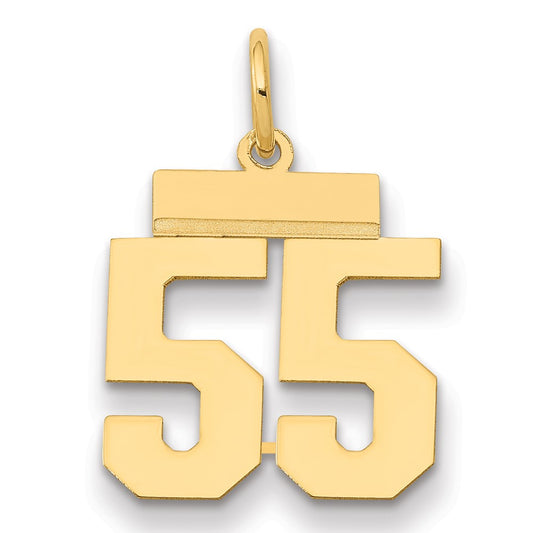 14k Yellow Gold Small Polished Number 55 Charm