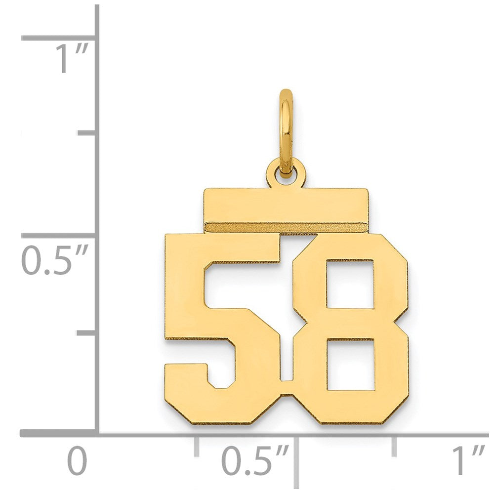 14k Yellow Gold Small Polished Number 58 Charm