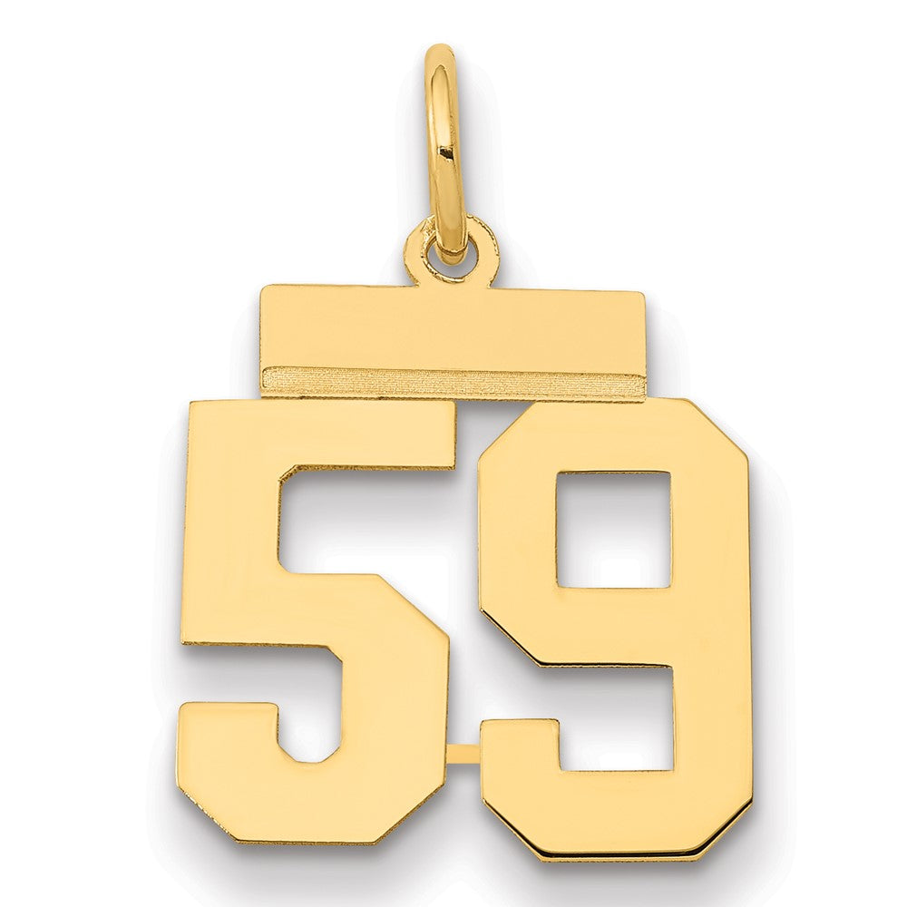 14k Yellow Gold Small Polished Number 59 Charm