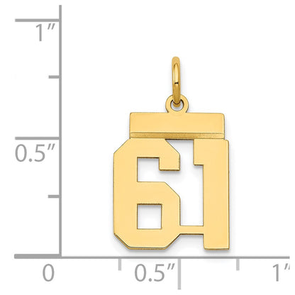 14k Yellow Gold Small Polished Number 61 Charm