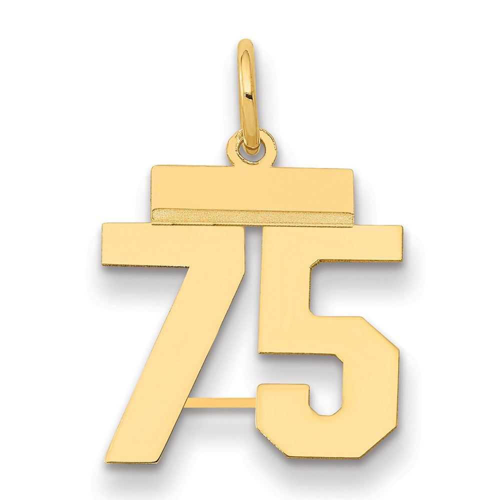 14k Yellow Gold Small Polished Number 75 Charm
