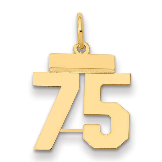 14k Yellow Gold Small Polished Number 75 Charm