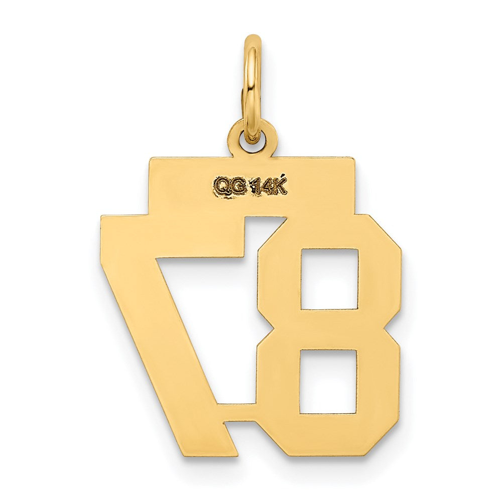 14k Yellow Gold Small Polished Number 87 Charm
