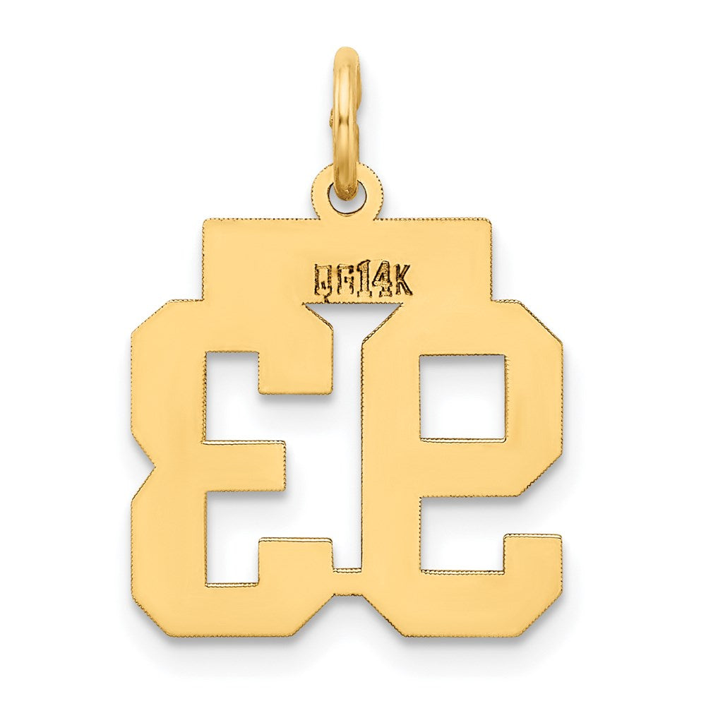 14k Yellow Gold Small Polished Number 93 Charm