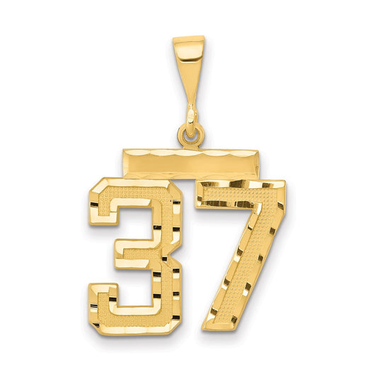 14k Yellow Gold Medium Diamond-cut Number 37 Charm