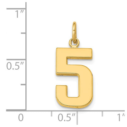 14k Yellow Gold Medium Polished Number 5 Charm