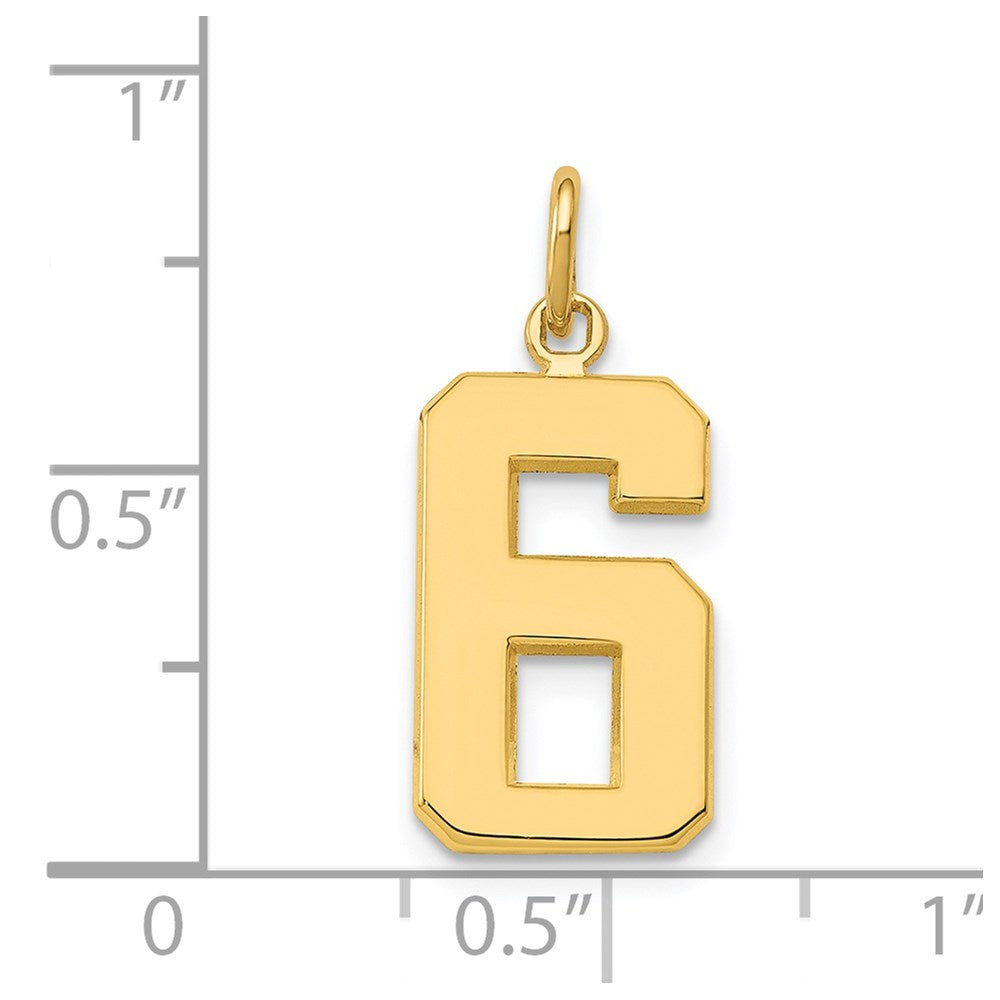 14k Yellow Gold Medium Polished Number 6 Charm