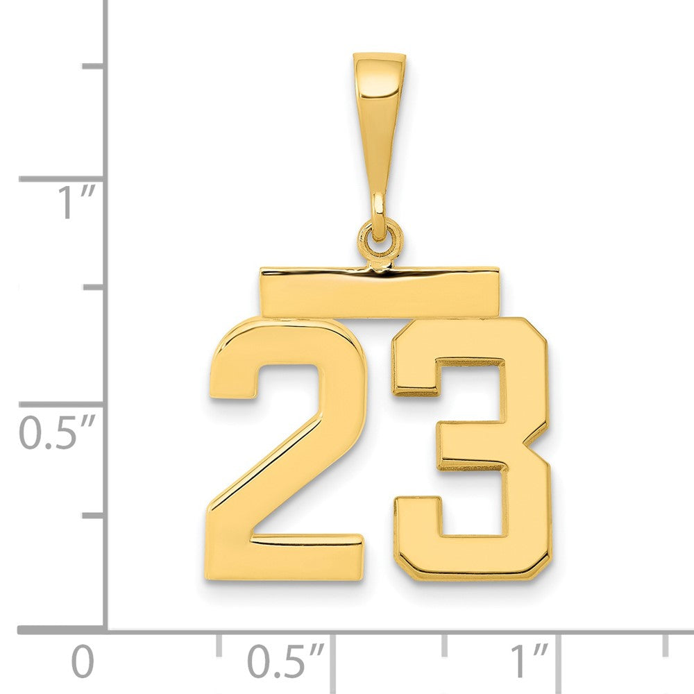 14k Yellow Gold Medium Polished Number 23 Charm
