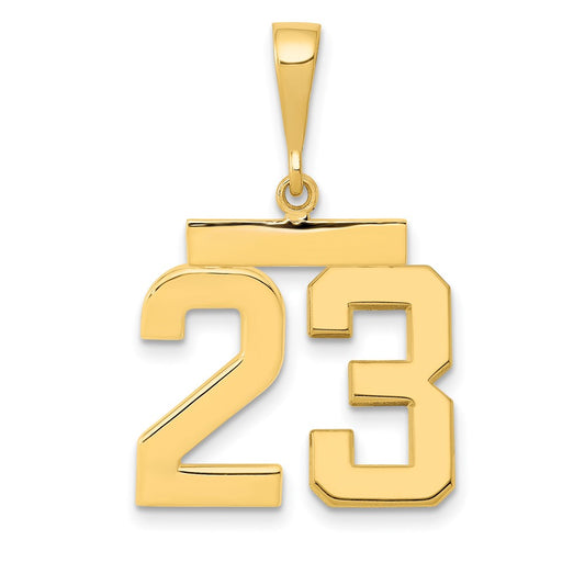 14k Yellow Gold Medium Polished Number 23 Charm