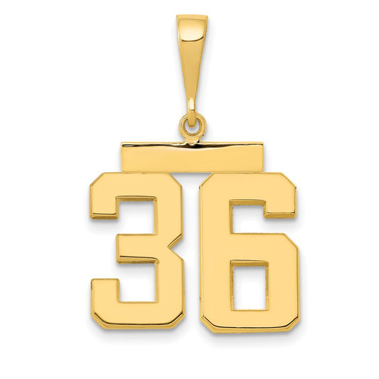 14k Yellow Gold Medium Polished Number 36 Charm