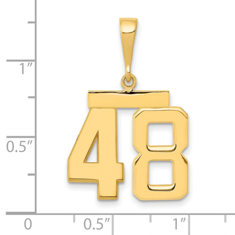 14k Yellow Gold Medium Polished Number 48 Charm