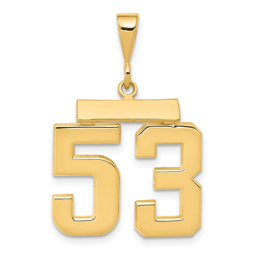 14k Yellow Gold Medium Polished Number 53 Charm