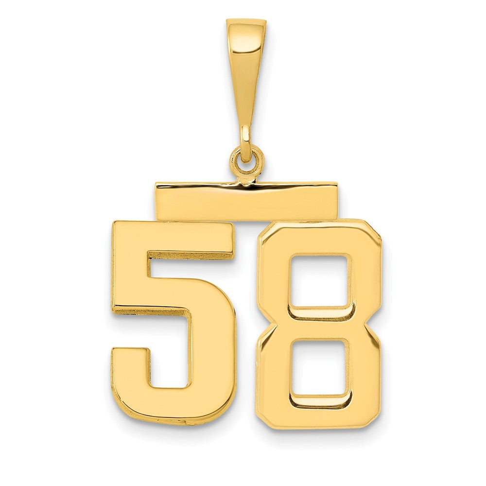 14k Yellow Gold Medium Polished Number 58 Charm