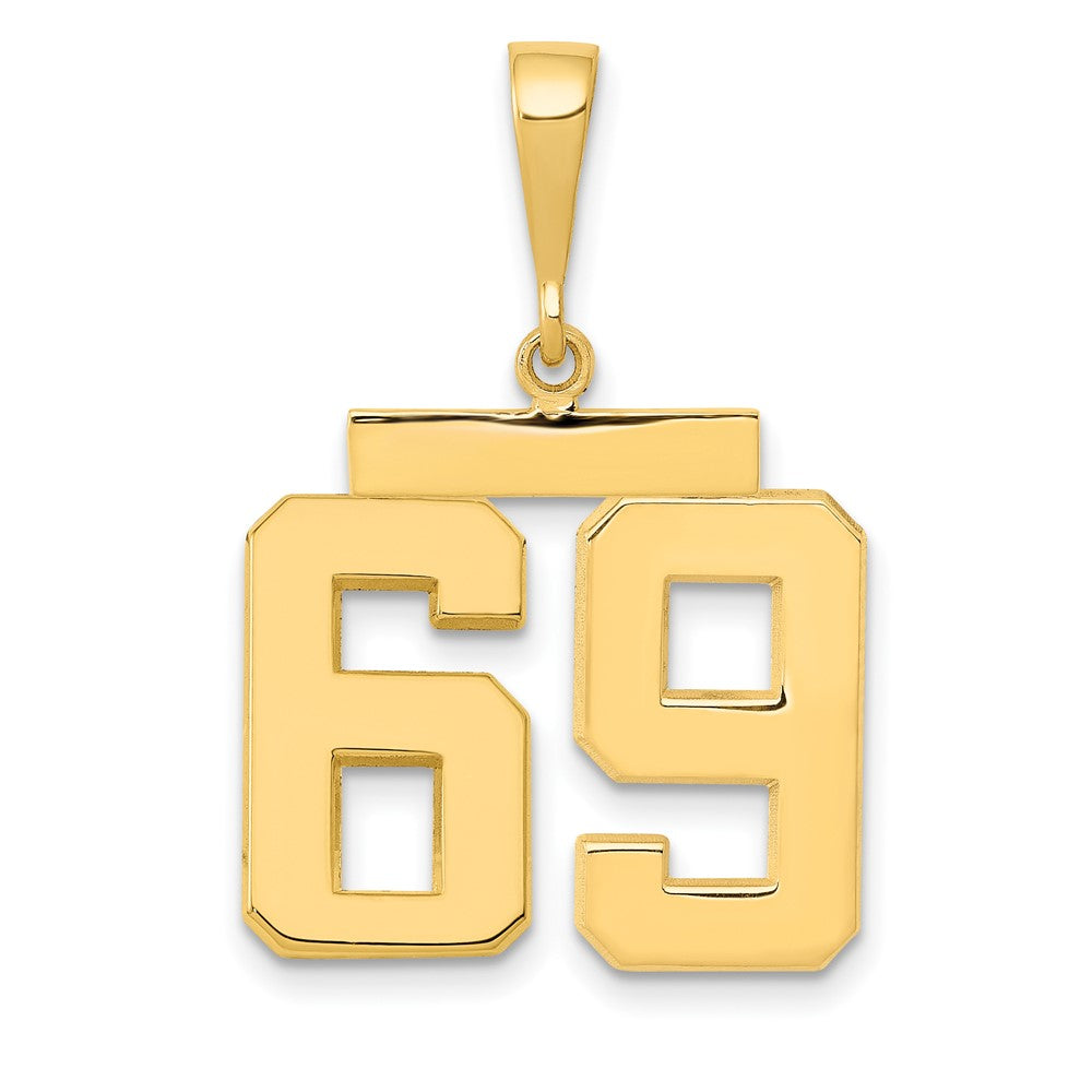 14k Yellow Gold Medium Polished Number 69 Charm