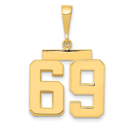 14k Yellow Gold Medium Polished Number 69 Charm