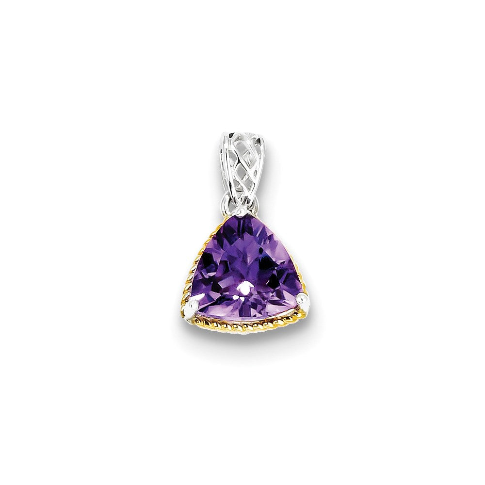 Sterling Silver w/ Flash Gold-plate Accent Amethyst Pendant
