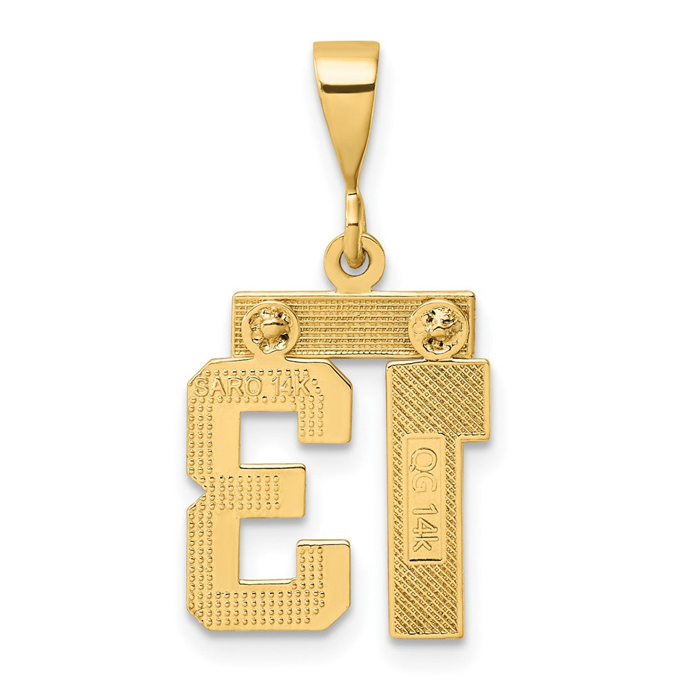 14k Yellow Gold Small Brushed Diamond-cut Number 13 Charm