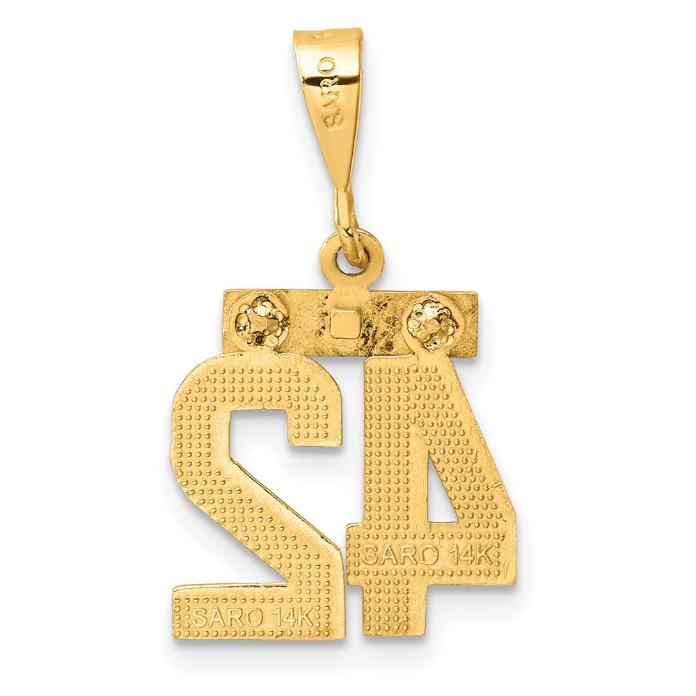 14k Yellow Gold Small Brushed Diamond-cut Number 42 Charm