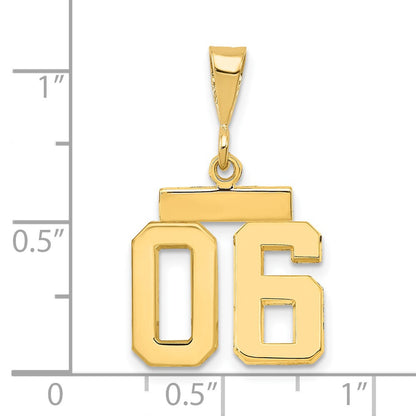 14k Yellow Gold Small Polished Number 06 on Top Charm