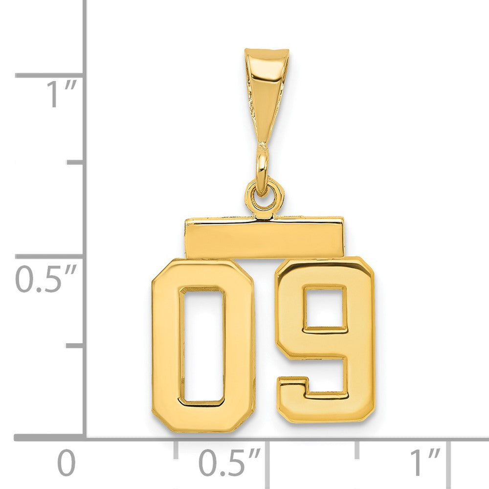 14k Yellow Gold Small Polished Number 09 on Top Charm