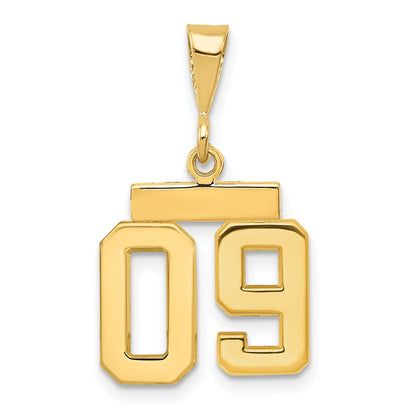14k Yellow Gold Small Polished Number 09 on Top Charm