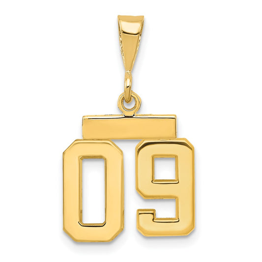 14k Yellow Gold Small Polished Number 09 on Top Charm