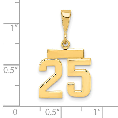 14k Yellow Gold Small Polished Number 25 Charm